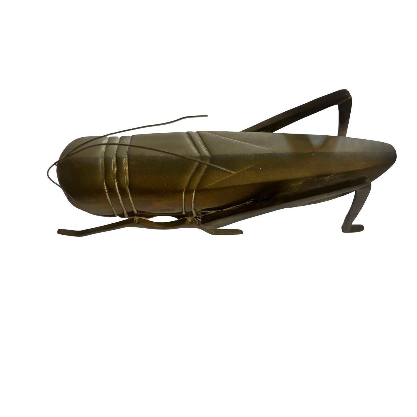 Giant Dolbi Cashier Brass Grasshopper