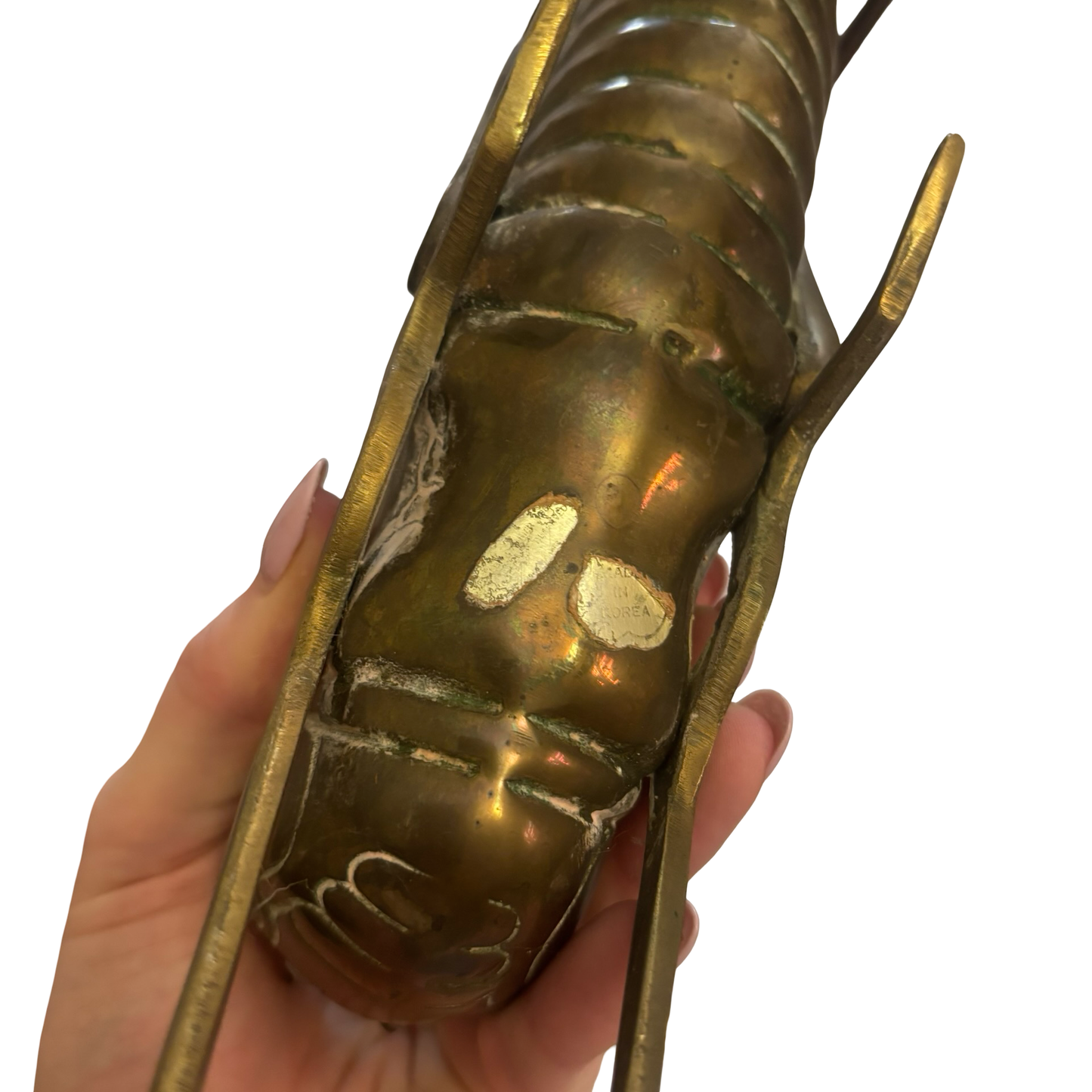 Giant Dolbi Cashier Brass Grasshopper