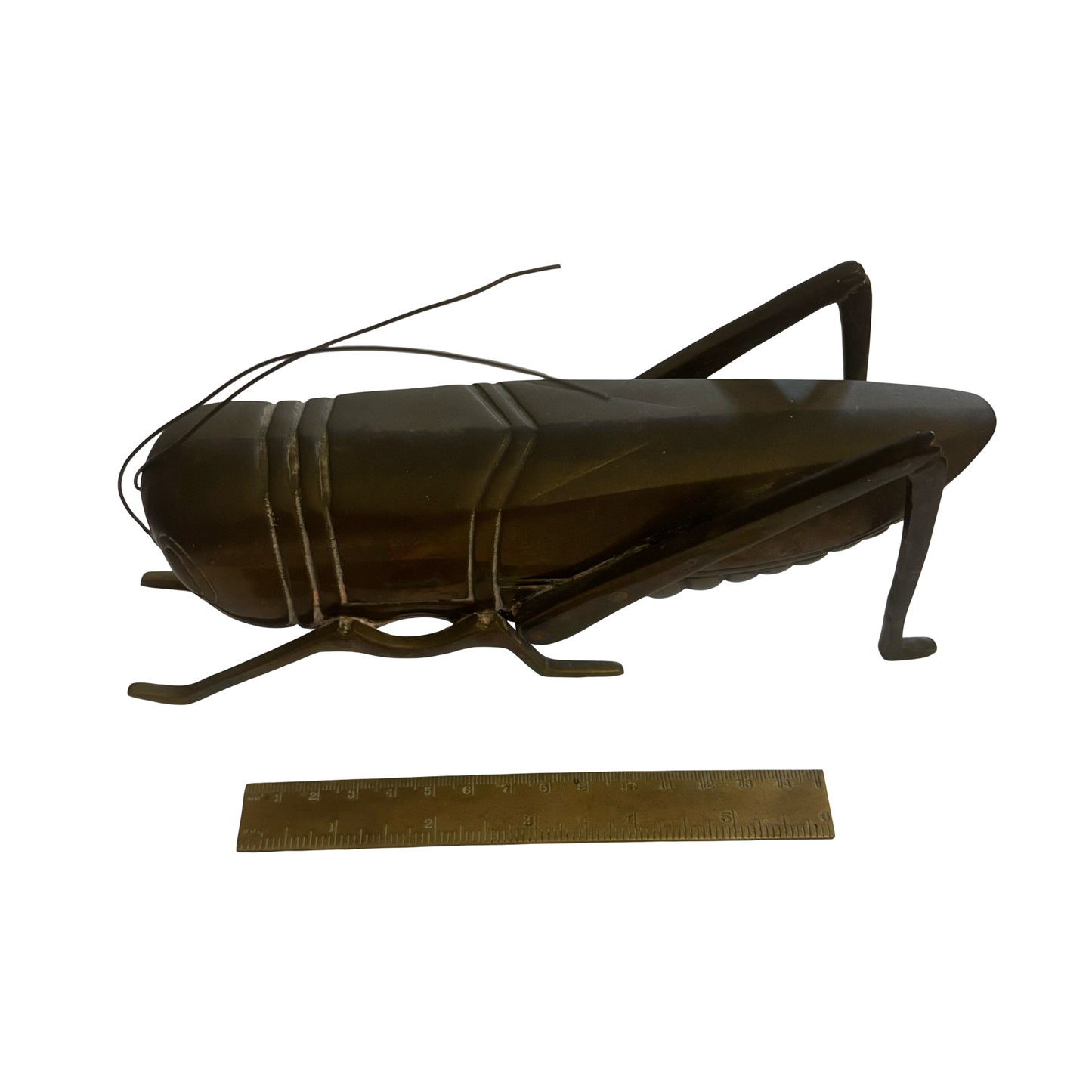 Giant Dolbi Cashier Brass Grasshopper