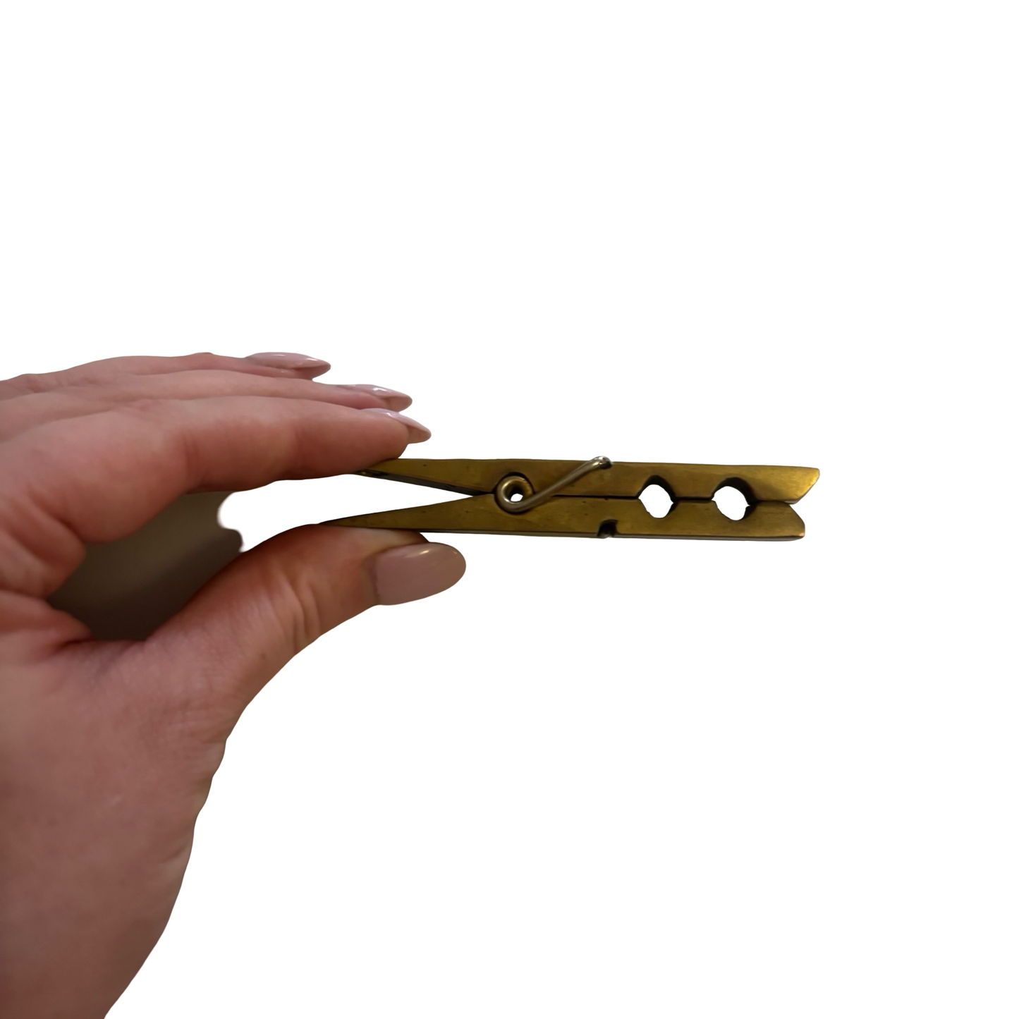 Brass Clothespin Clip