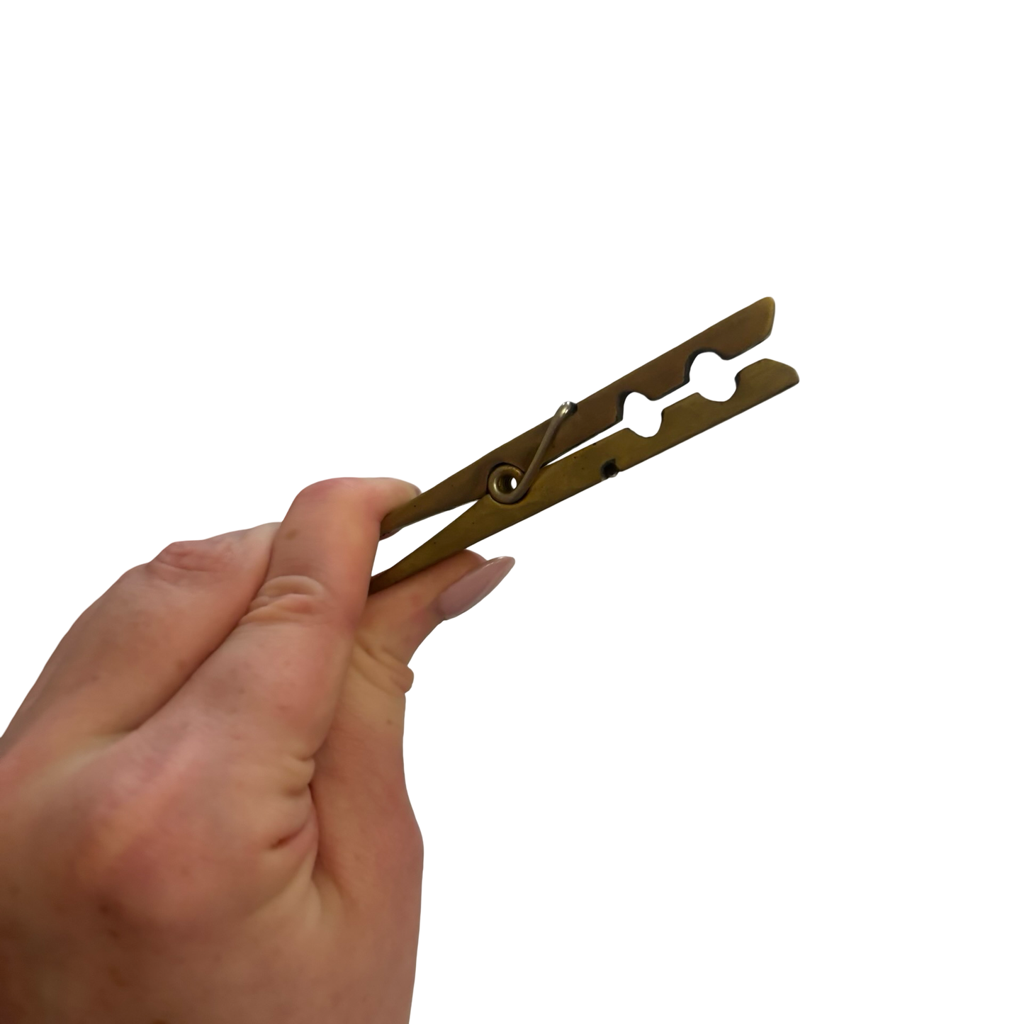 Brass Clothespin Clip