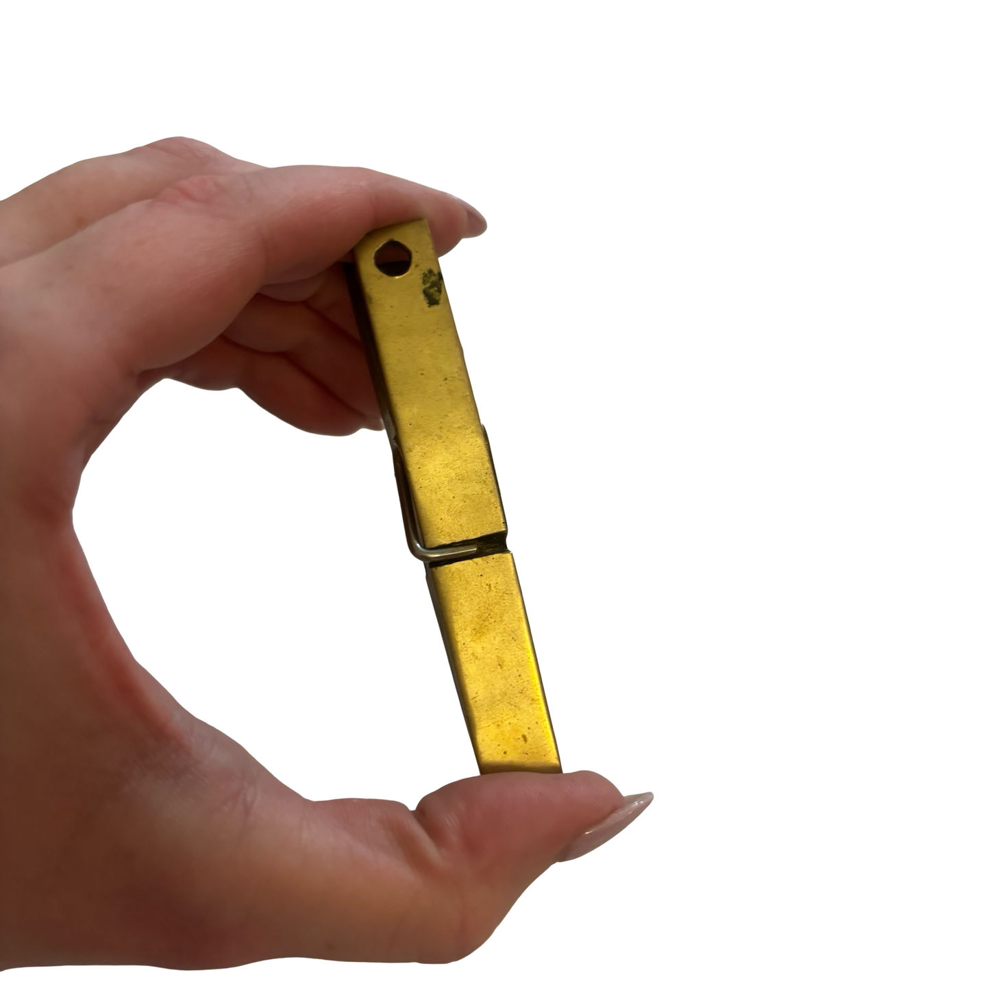 Brass Clothespin Clip