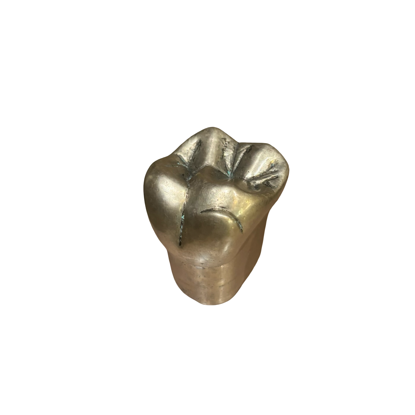 Metal Tooth Paperweight