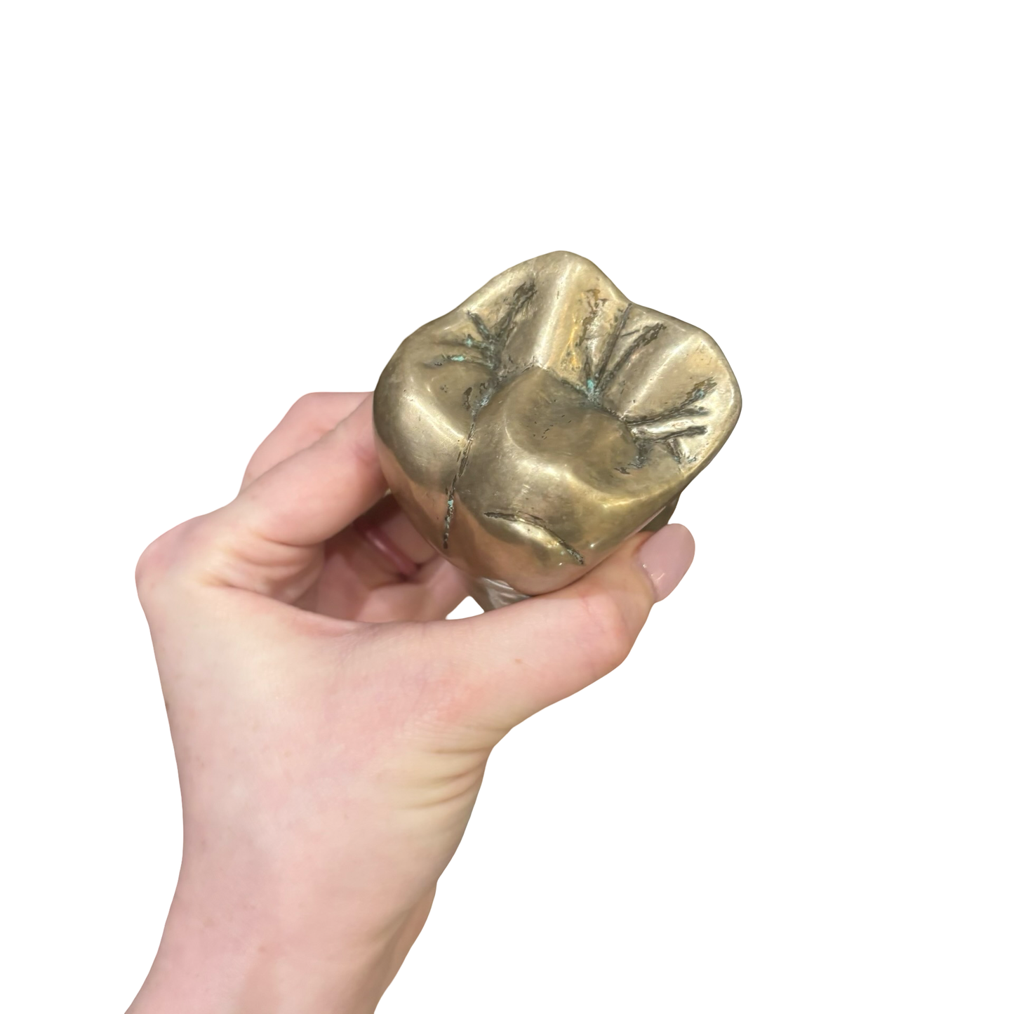 Metal Tooth Paperweight