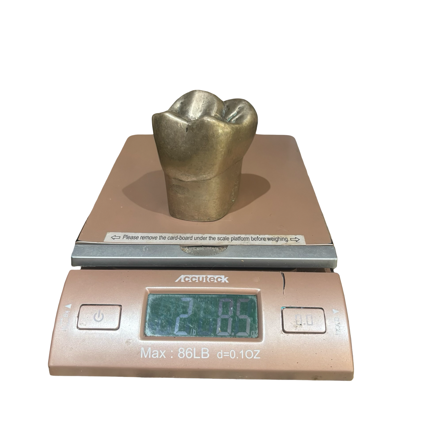 Metal Tooth Paperweight