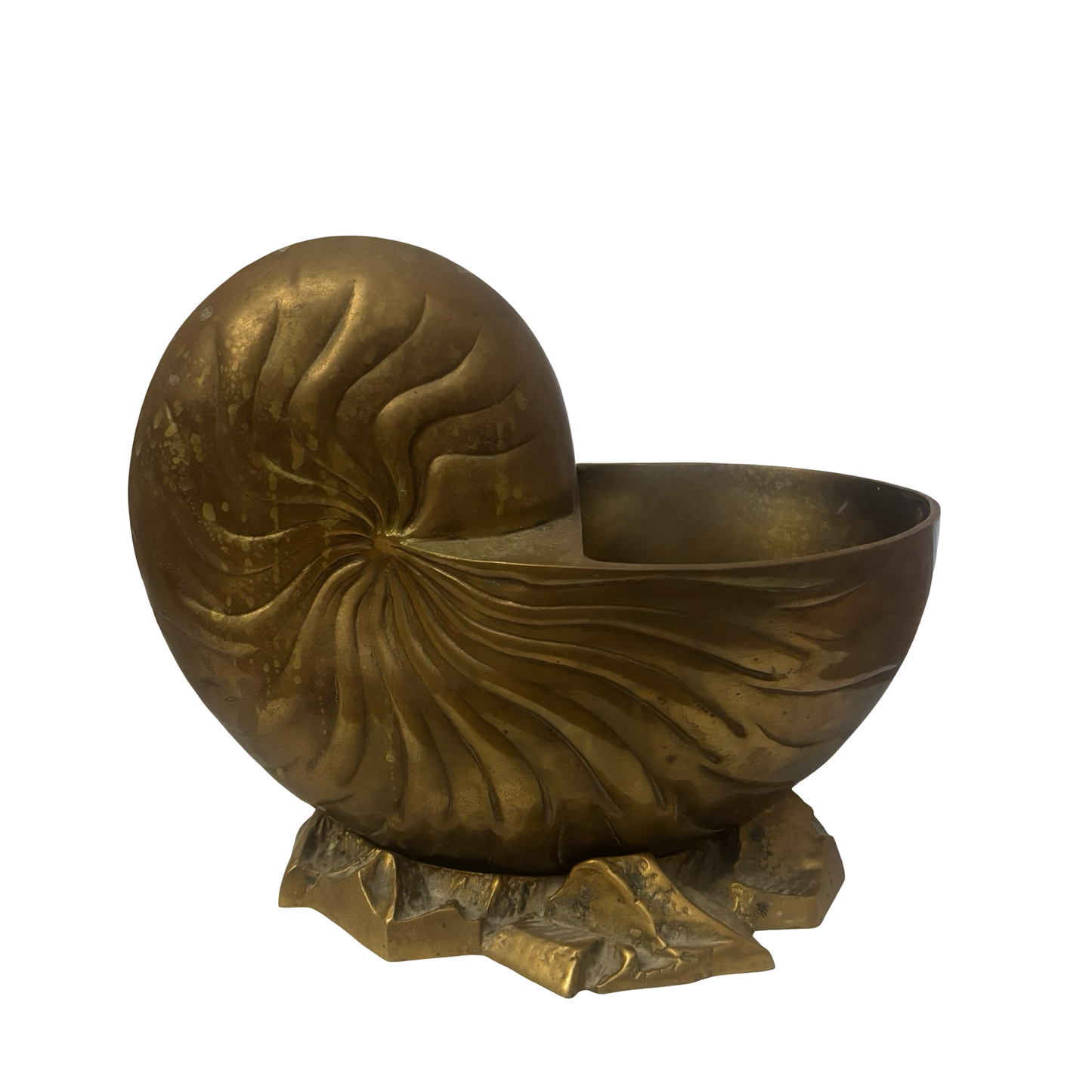 Huge Brass Nautilus Planter