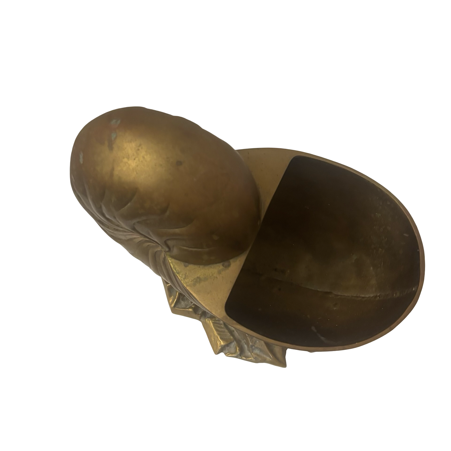 Huge Brass Nautilus Planter