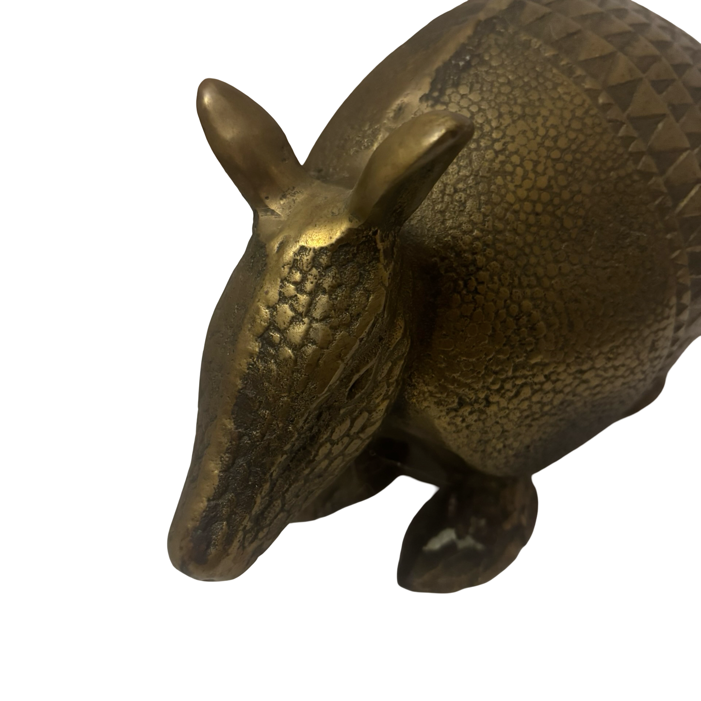 Life Sized Brass Armadillo
