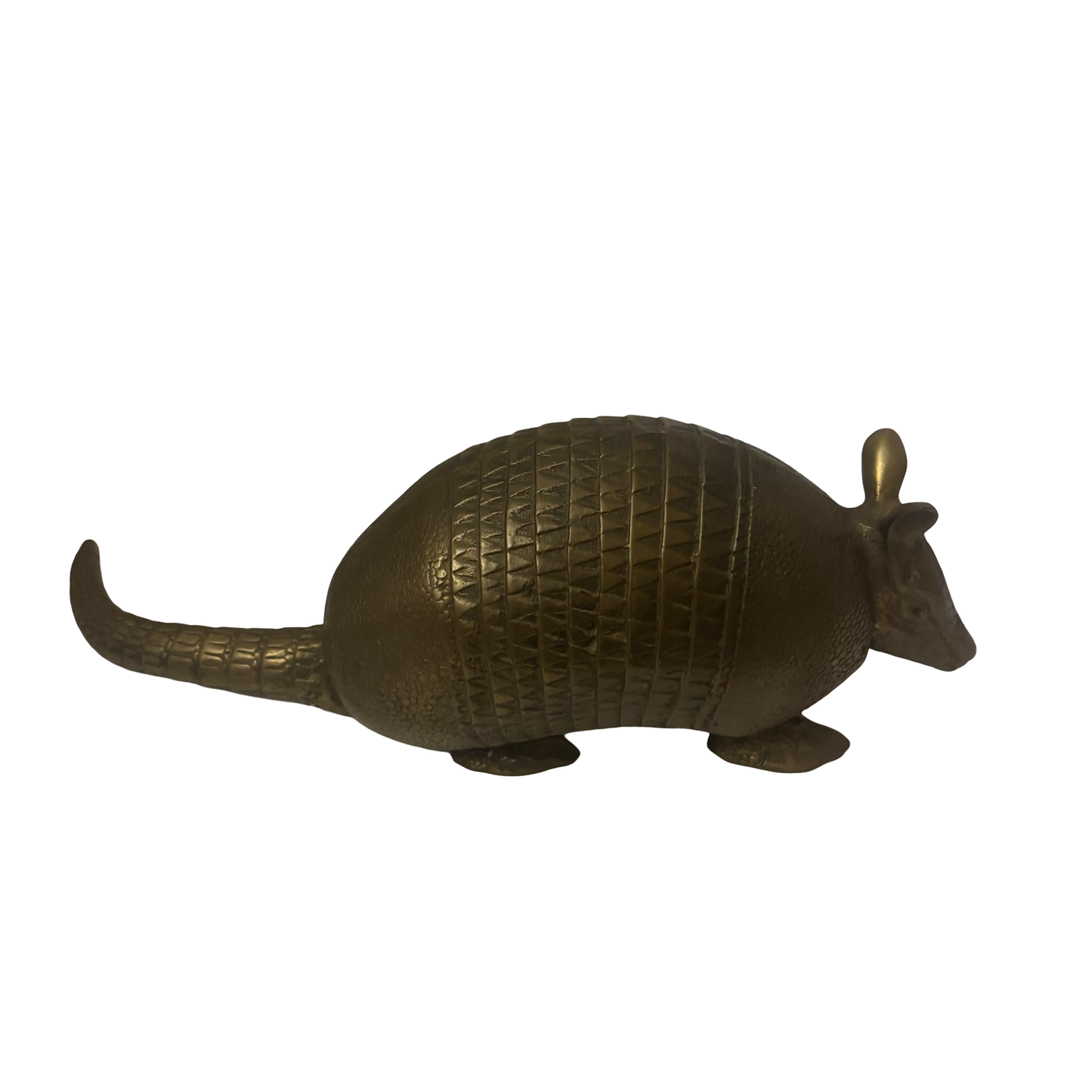 Life Sized Brass Armadillo
