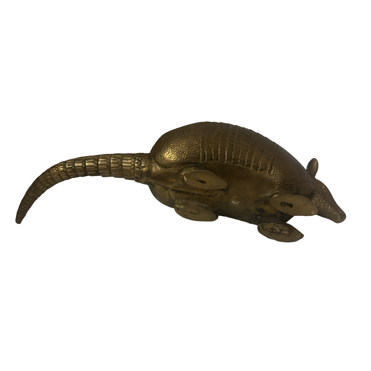 Life Sized Brass Armadillo