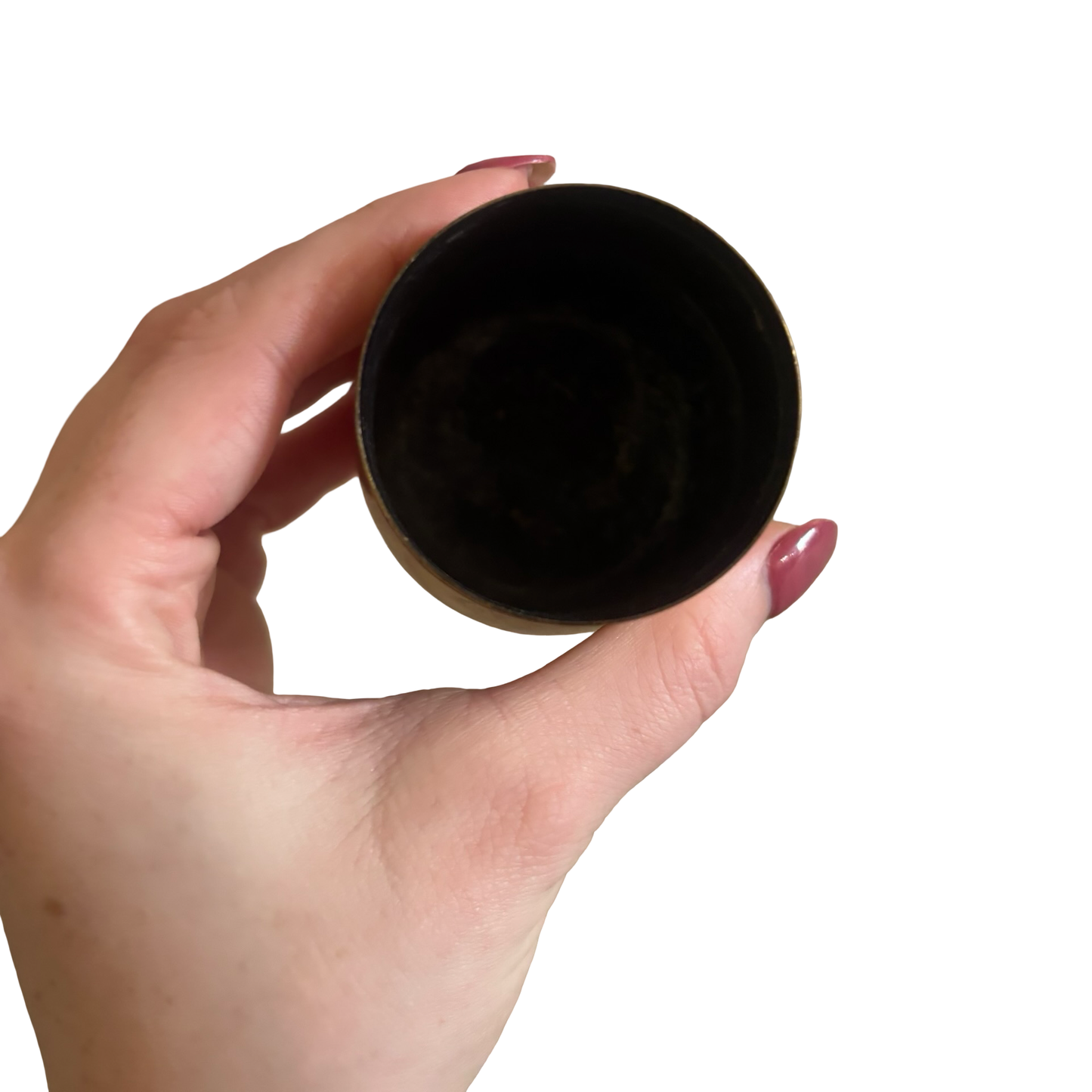 Brass Mushroom Snuff Box