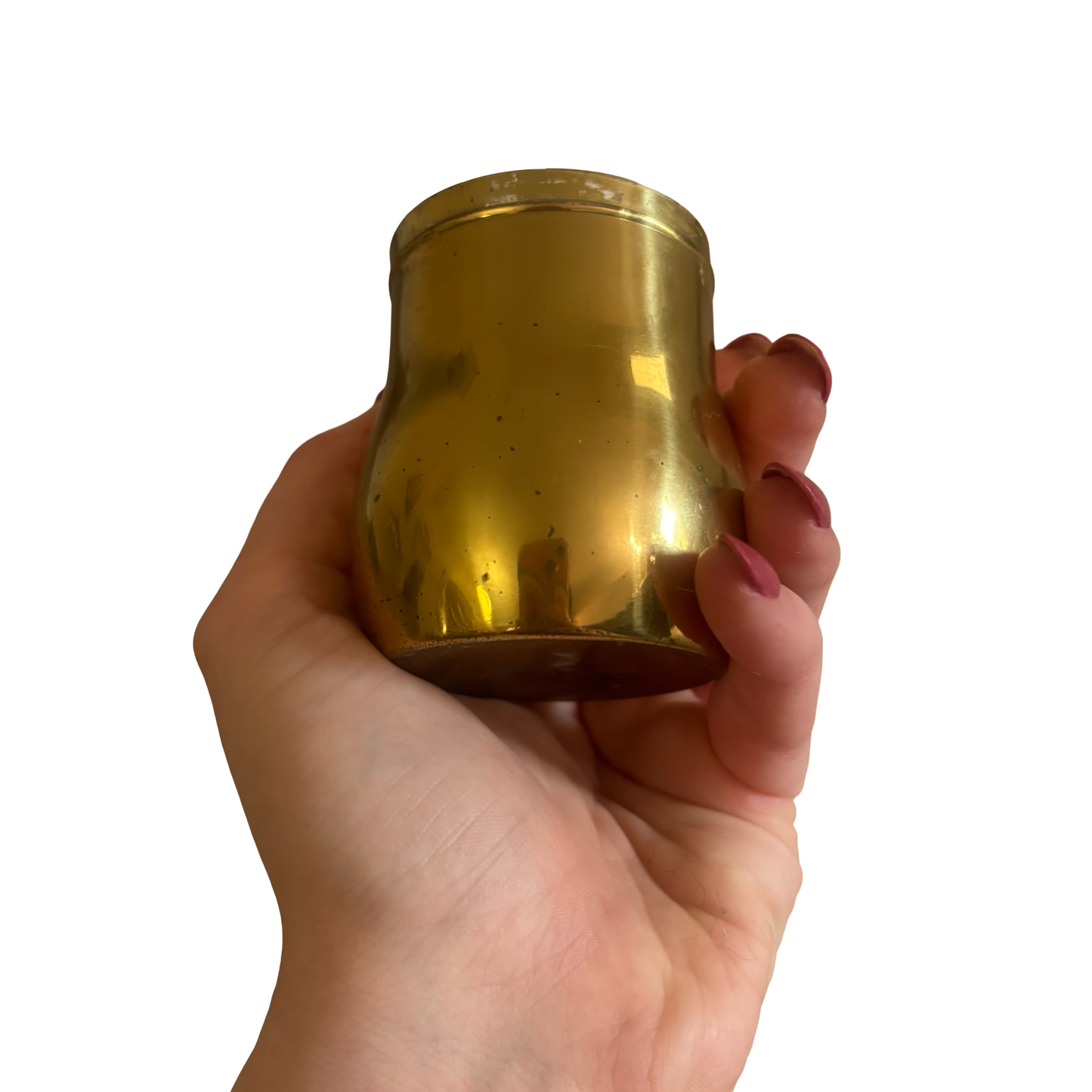 Brass Mushroom Snuff Box