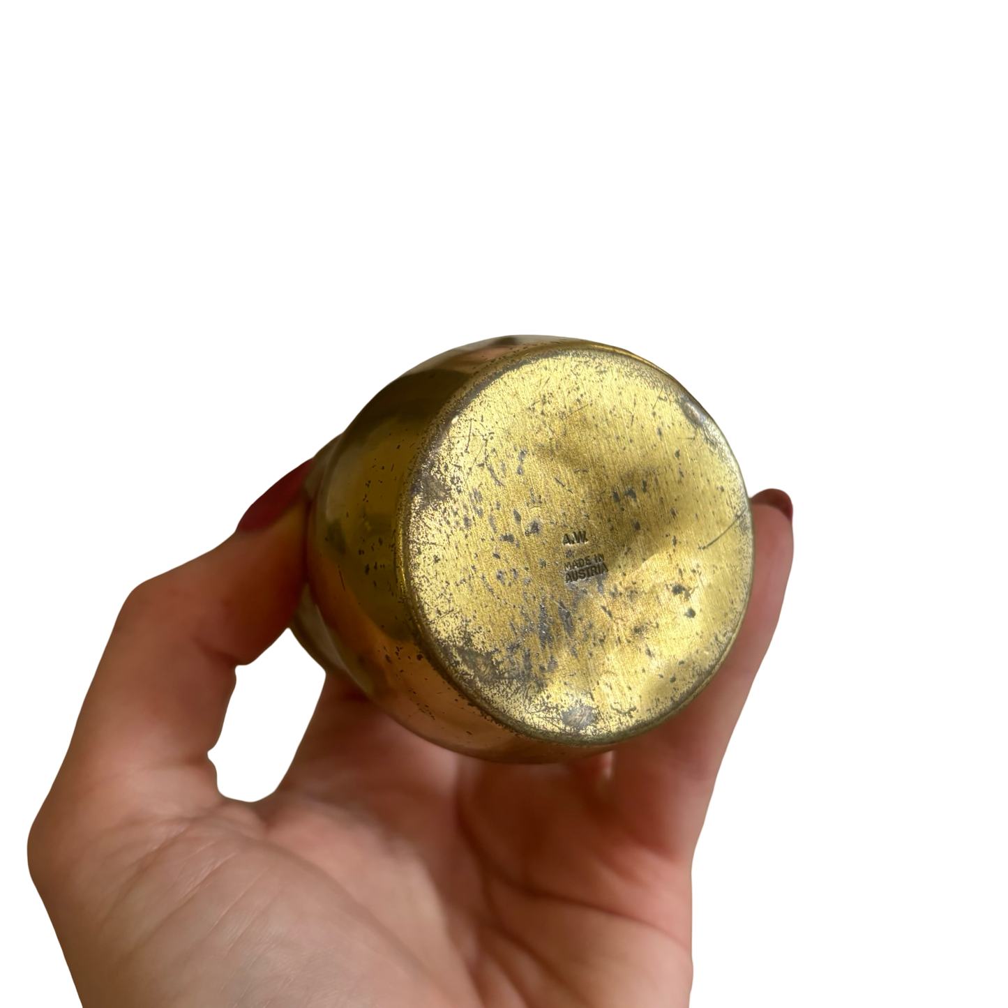 Brass Mushroom Snuff Box