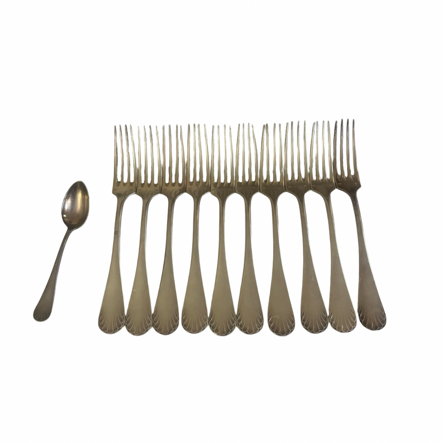Shell Dining Fork Set of 10