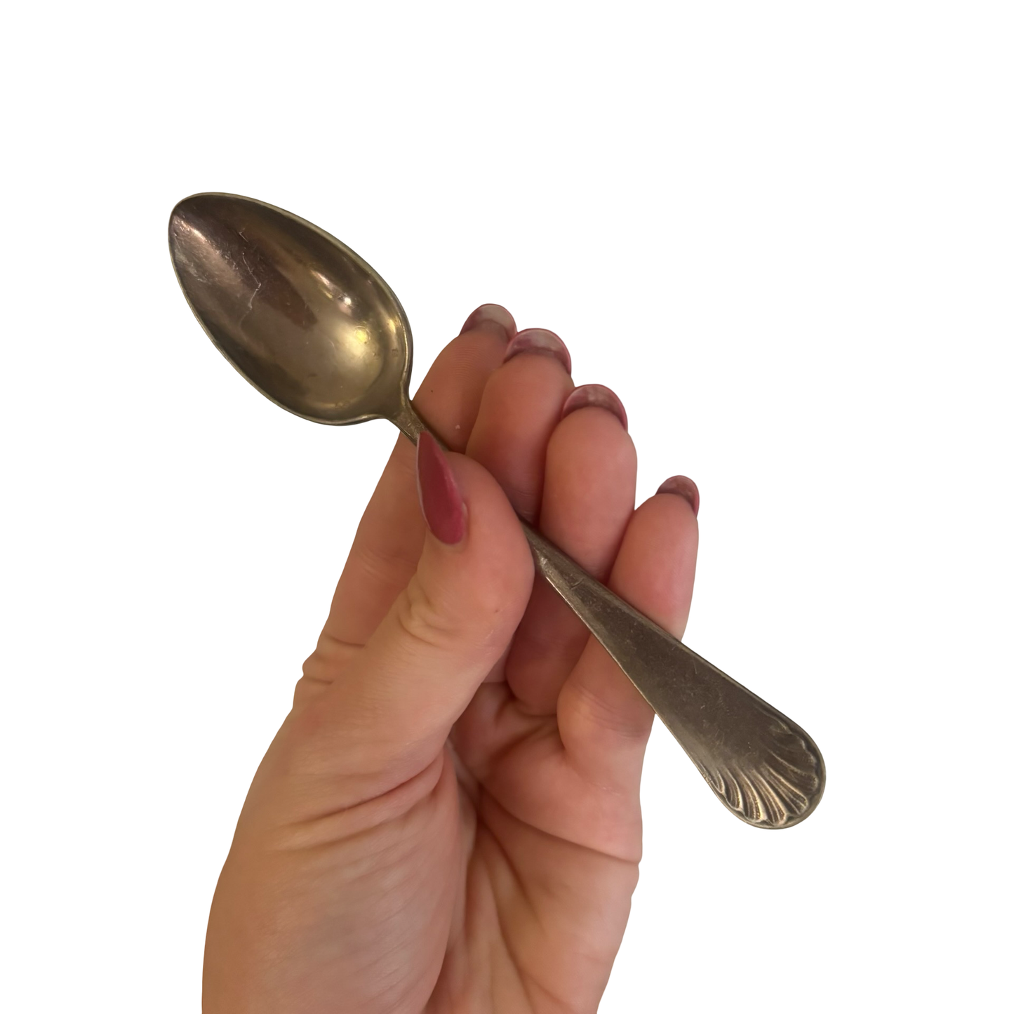 Shell Dining Fork Set of 10