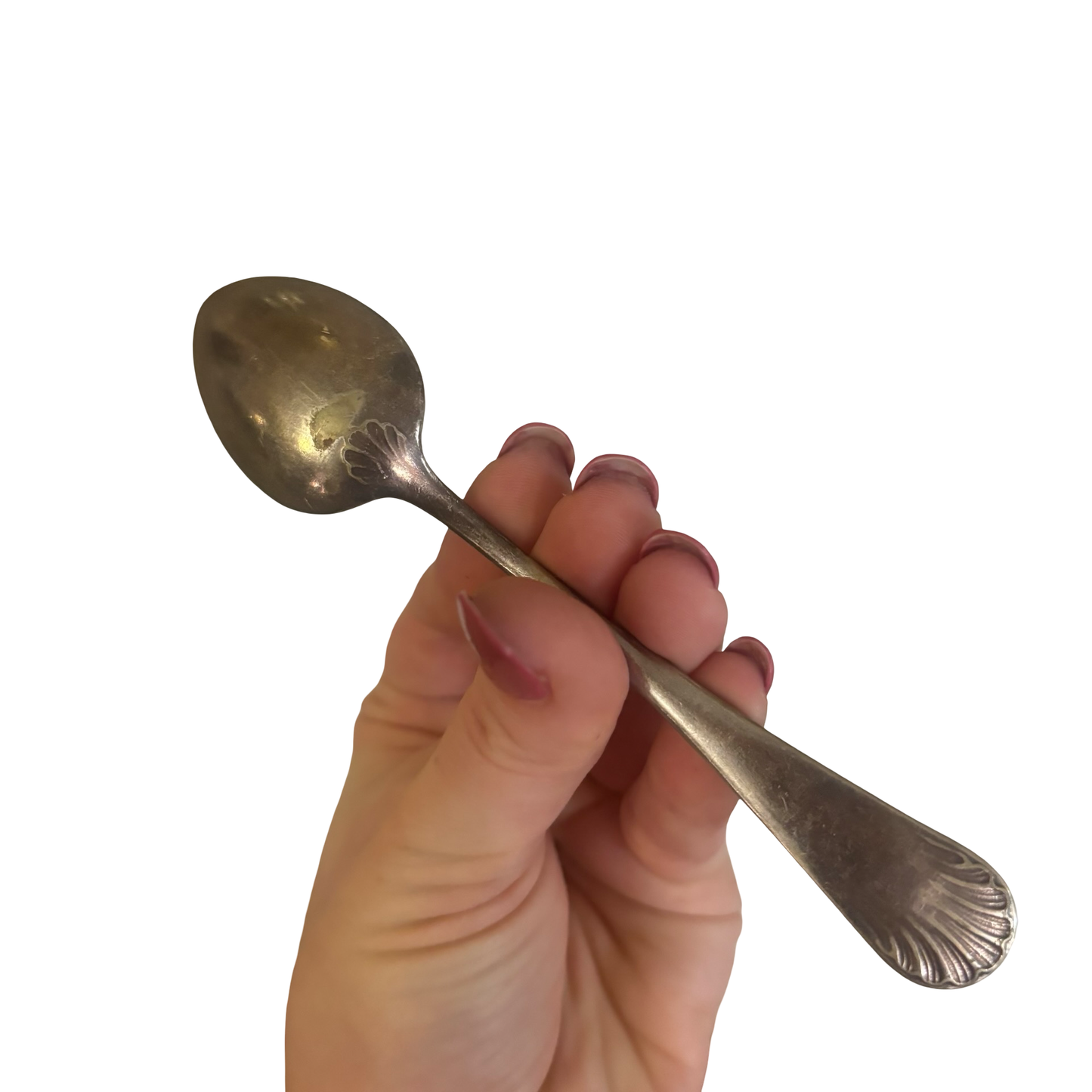 Shell Dining Fork Set of 10