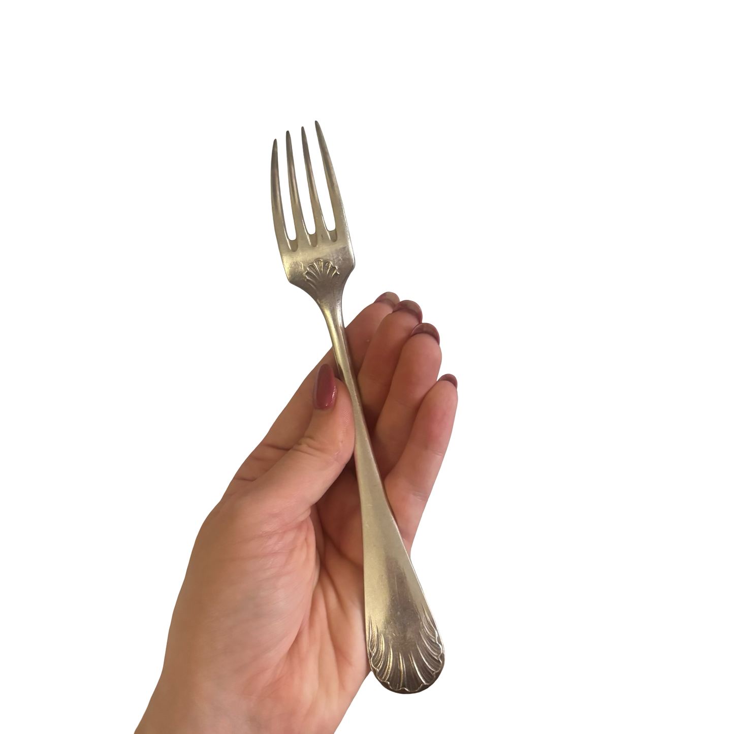 Shell Dining Fork Set of 10