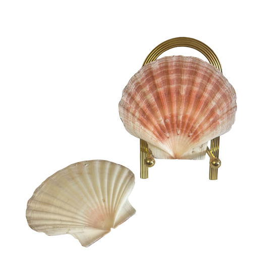Shells + Brass Stand