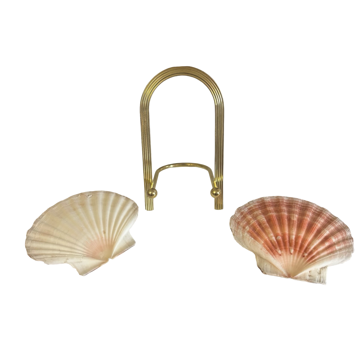 Shells + Brass Stand