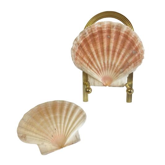 Shells + Brass Stand