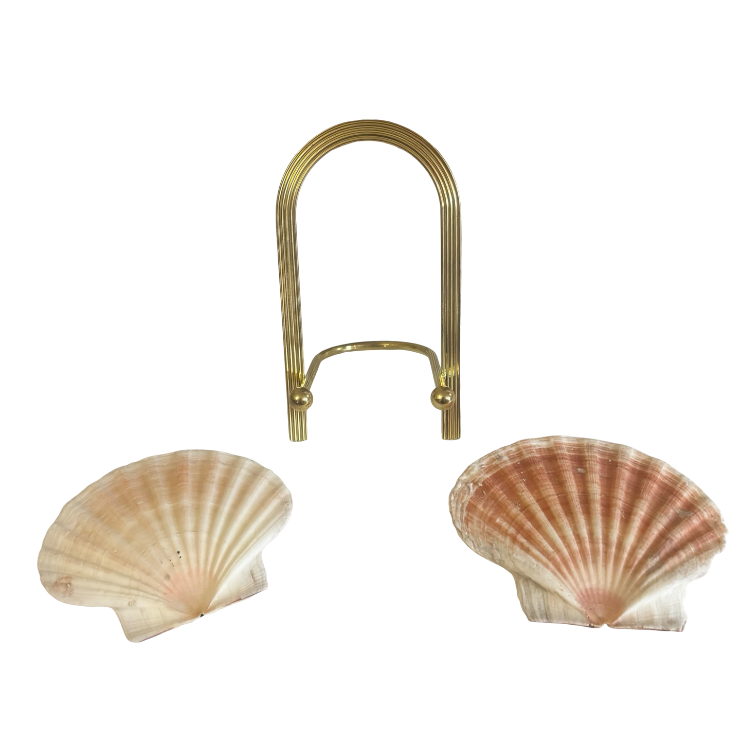 Shells + Brass Stand