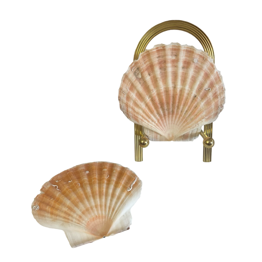 Shells + Brass Stand