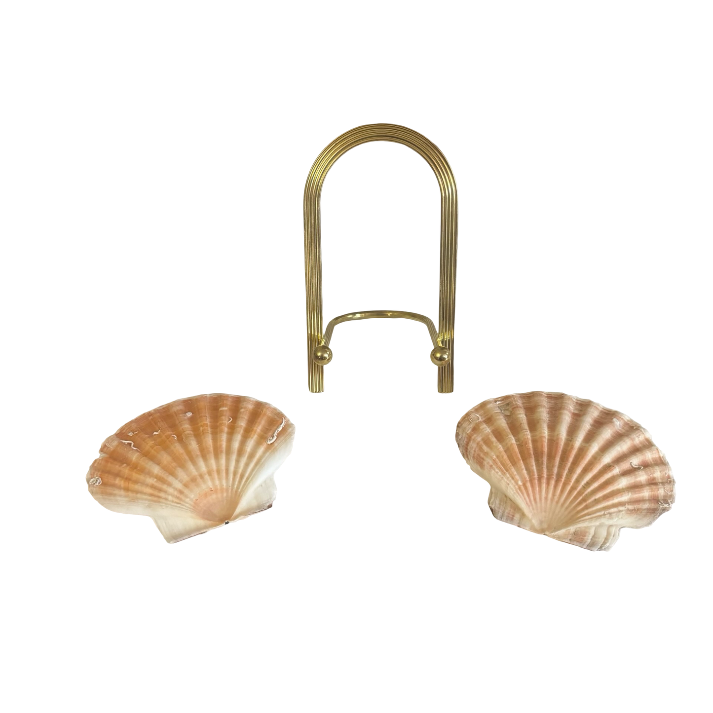 Shells + Brass Stand