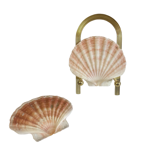 Shells + Brass Stand