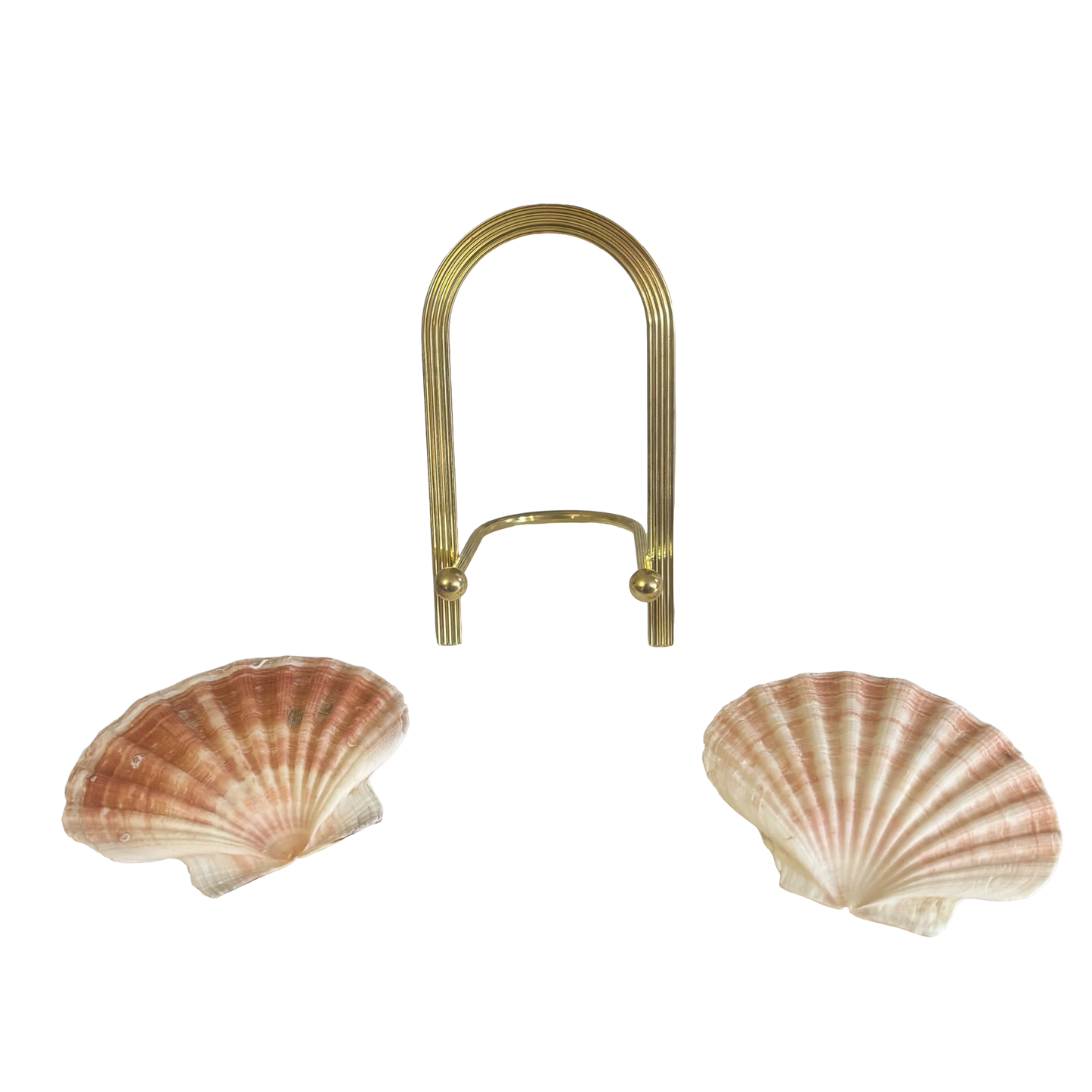 Shells + Brass Stand