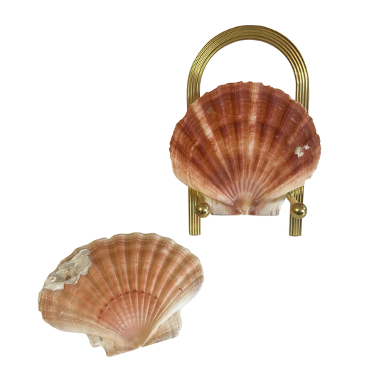 Shells + Brass Stand
