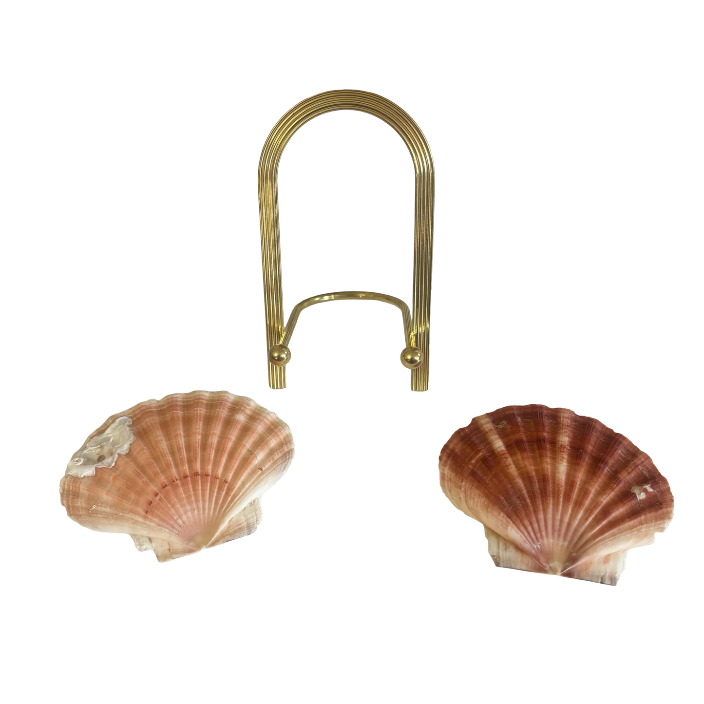 Shells + Brass Stand
