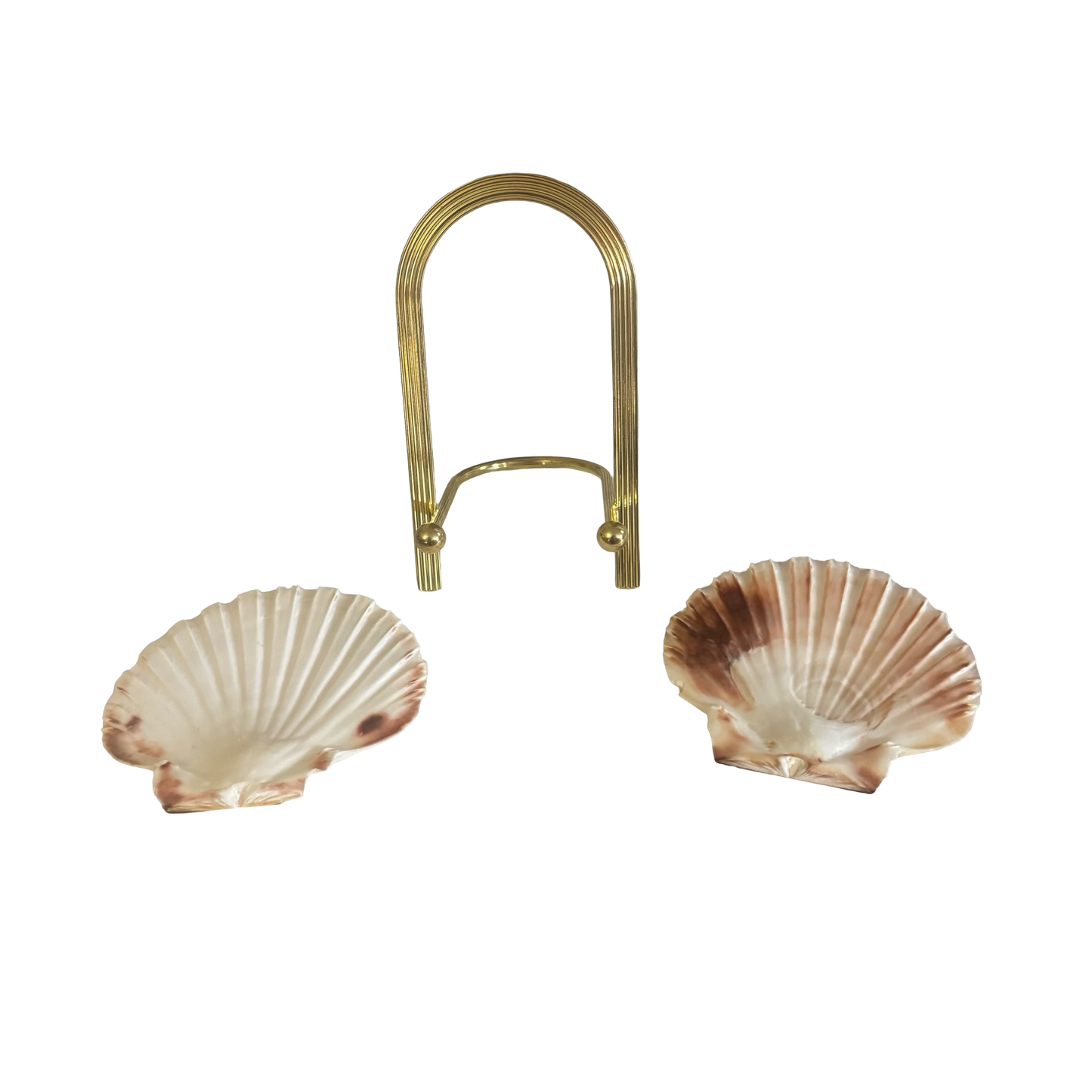 Shells + Brass Stand