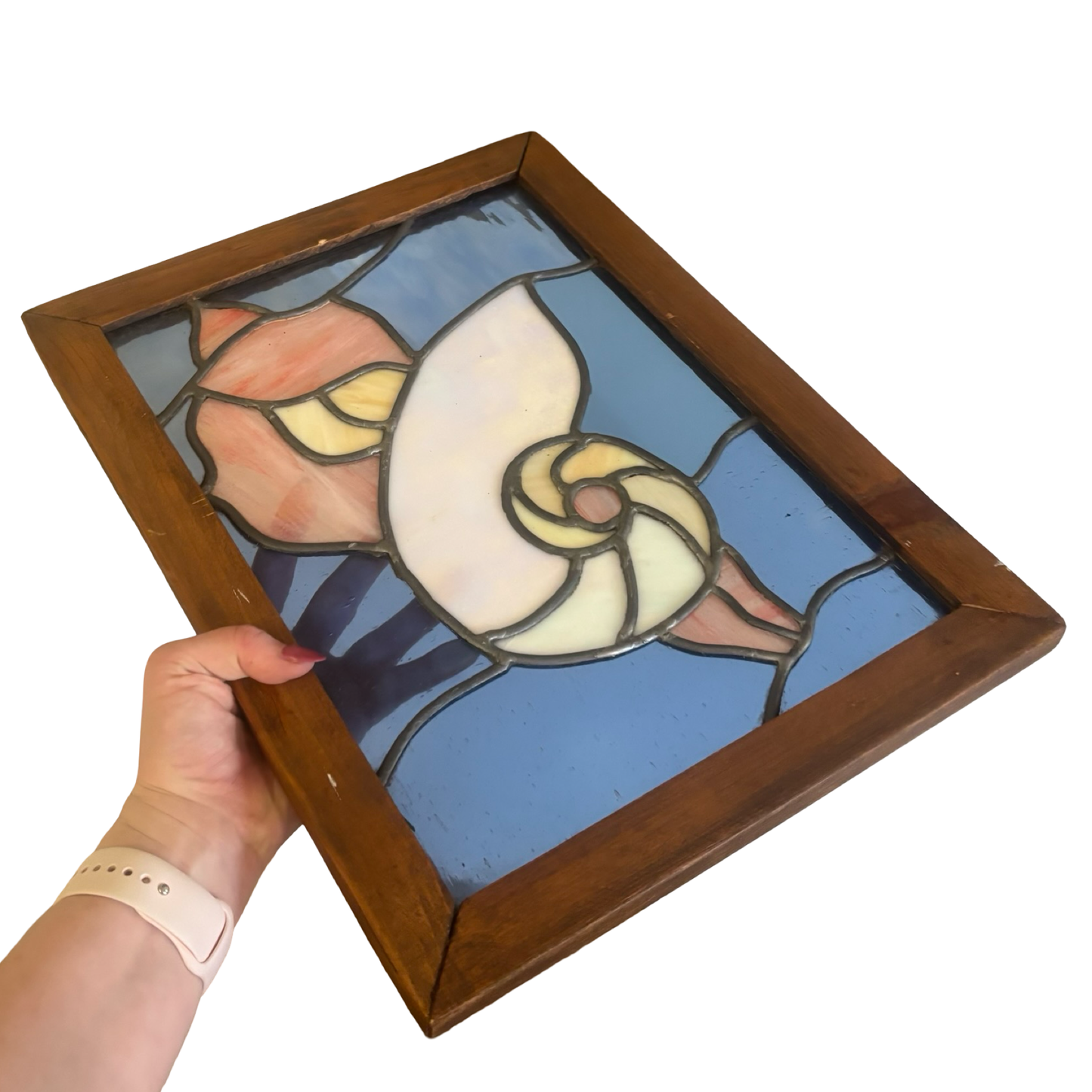 Stained Glass Shell Window