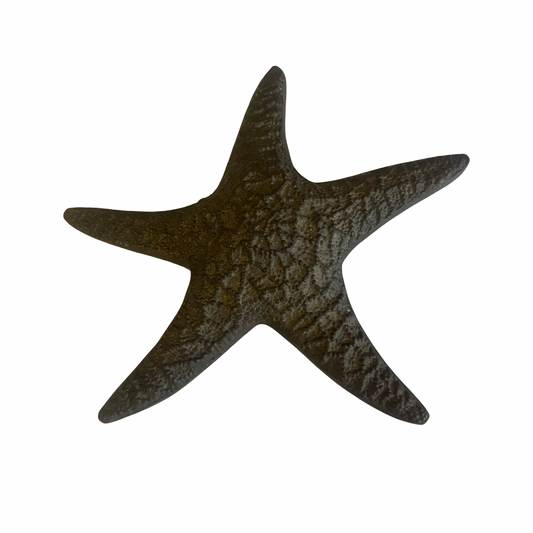 Brass Starfish Wall Hanging