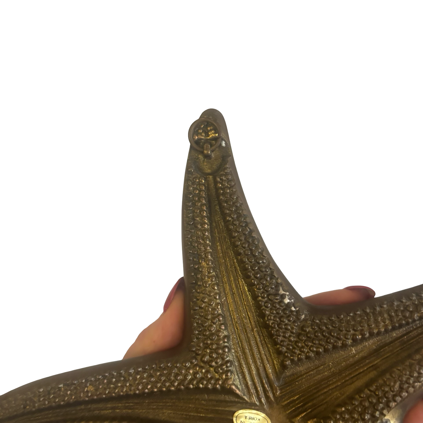 Brass Starfish Wall Hanging