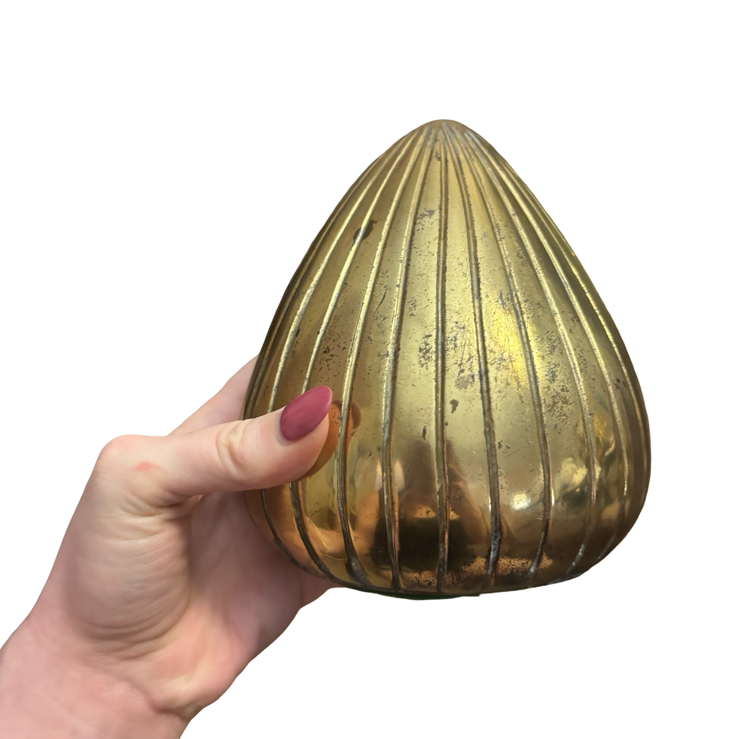 Ben Siebel Clamshell Brass Bookend