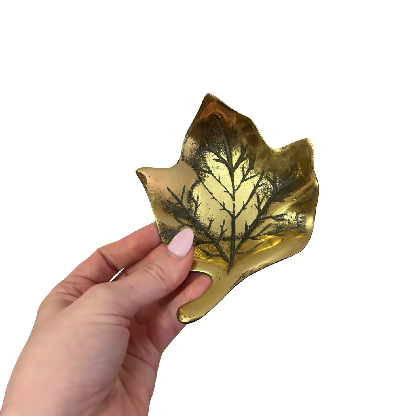 Curated Brass Basics Set