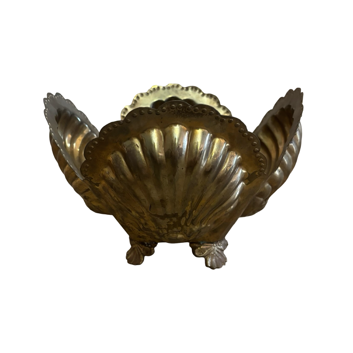 Brass Shell Planter