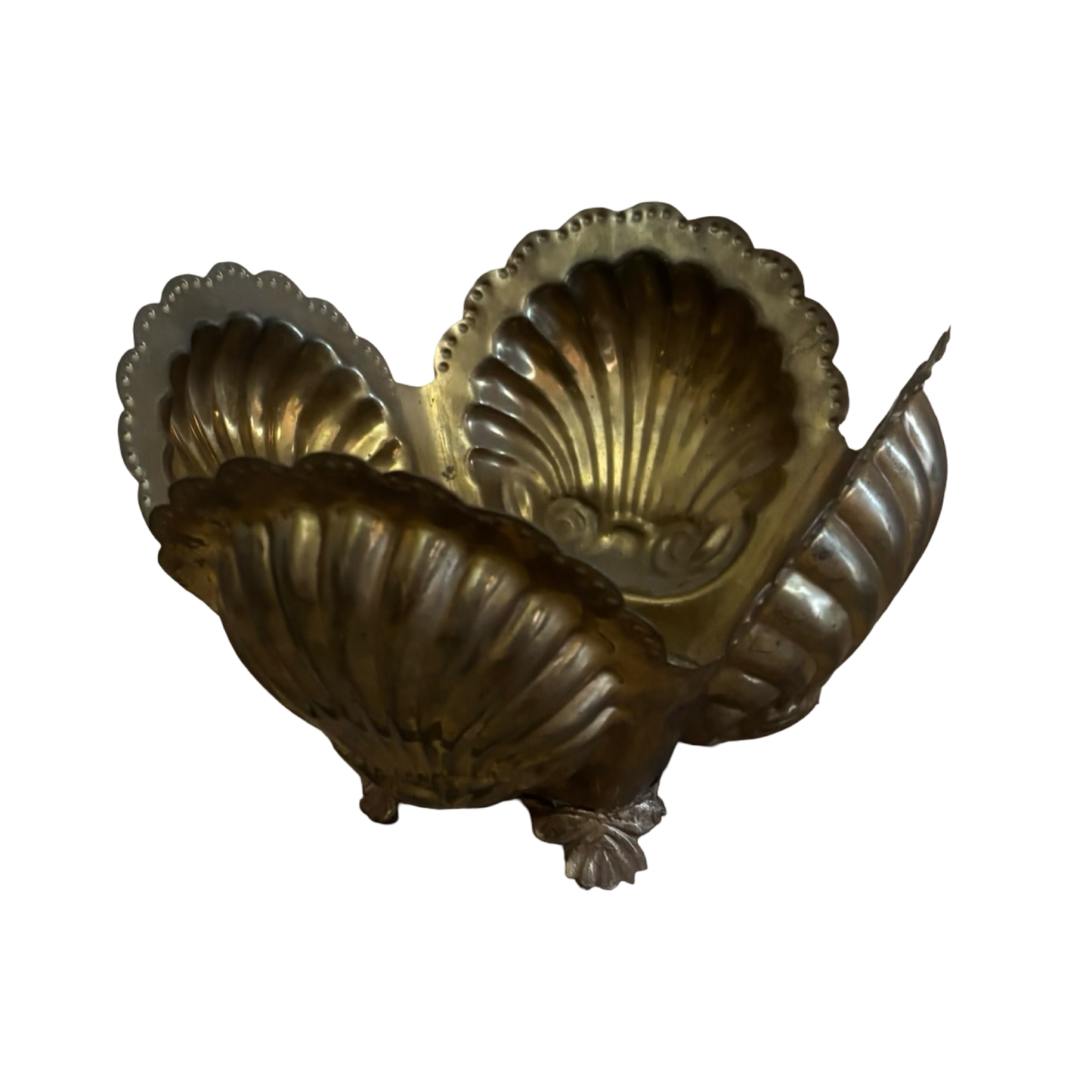Brass Shell Planter