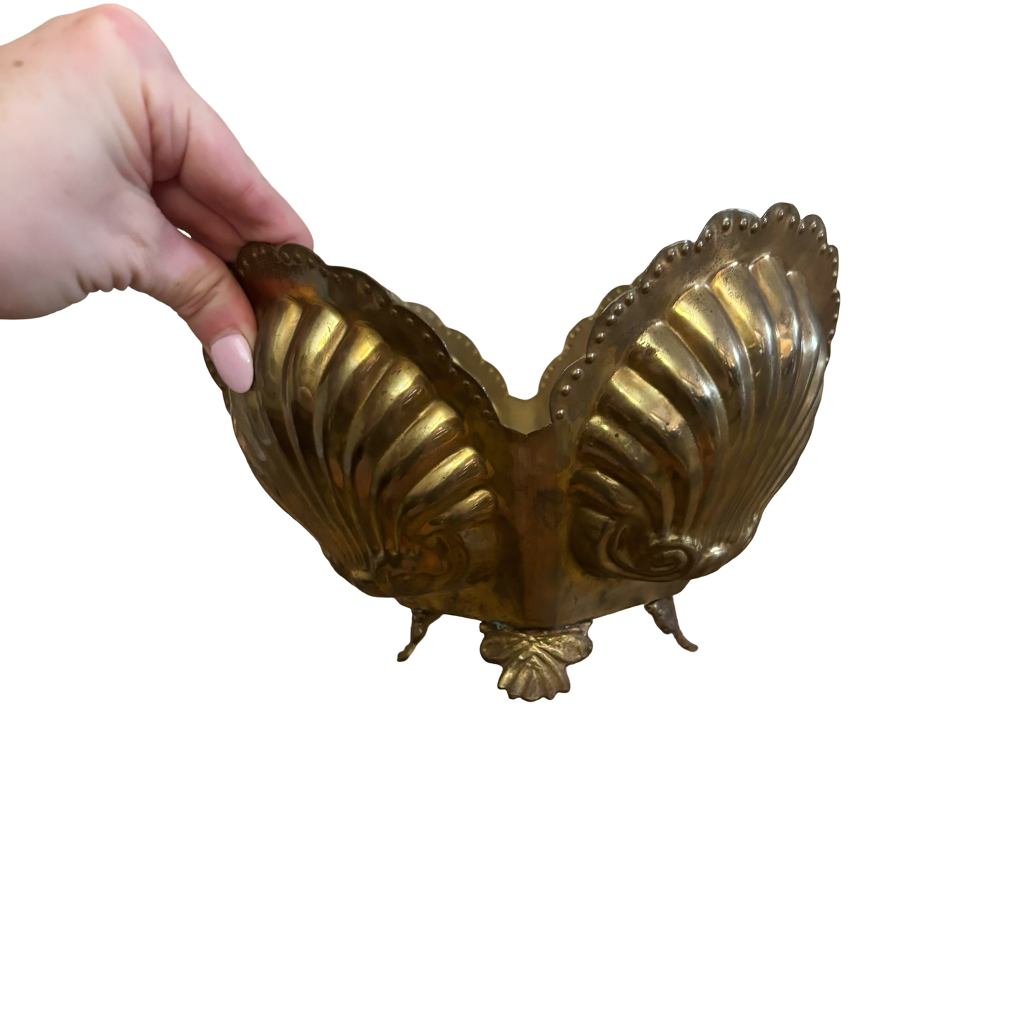 Brass Shell Planter