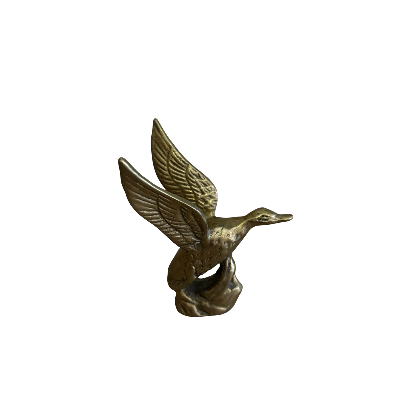 Brass Goose