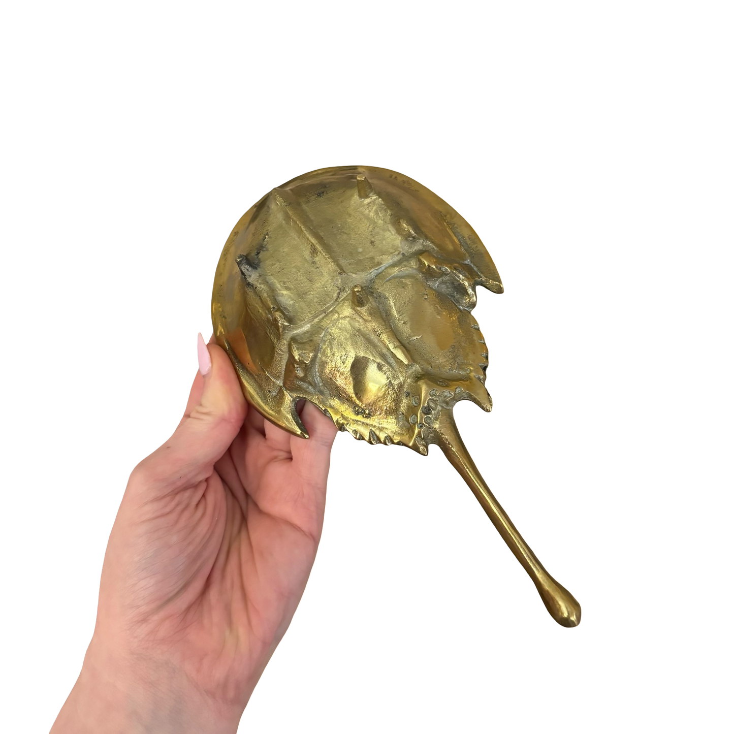 Large Brass Horseshoe Crab Dish