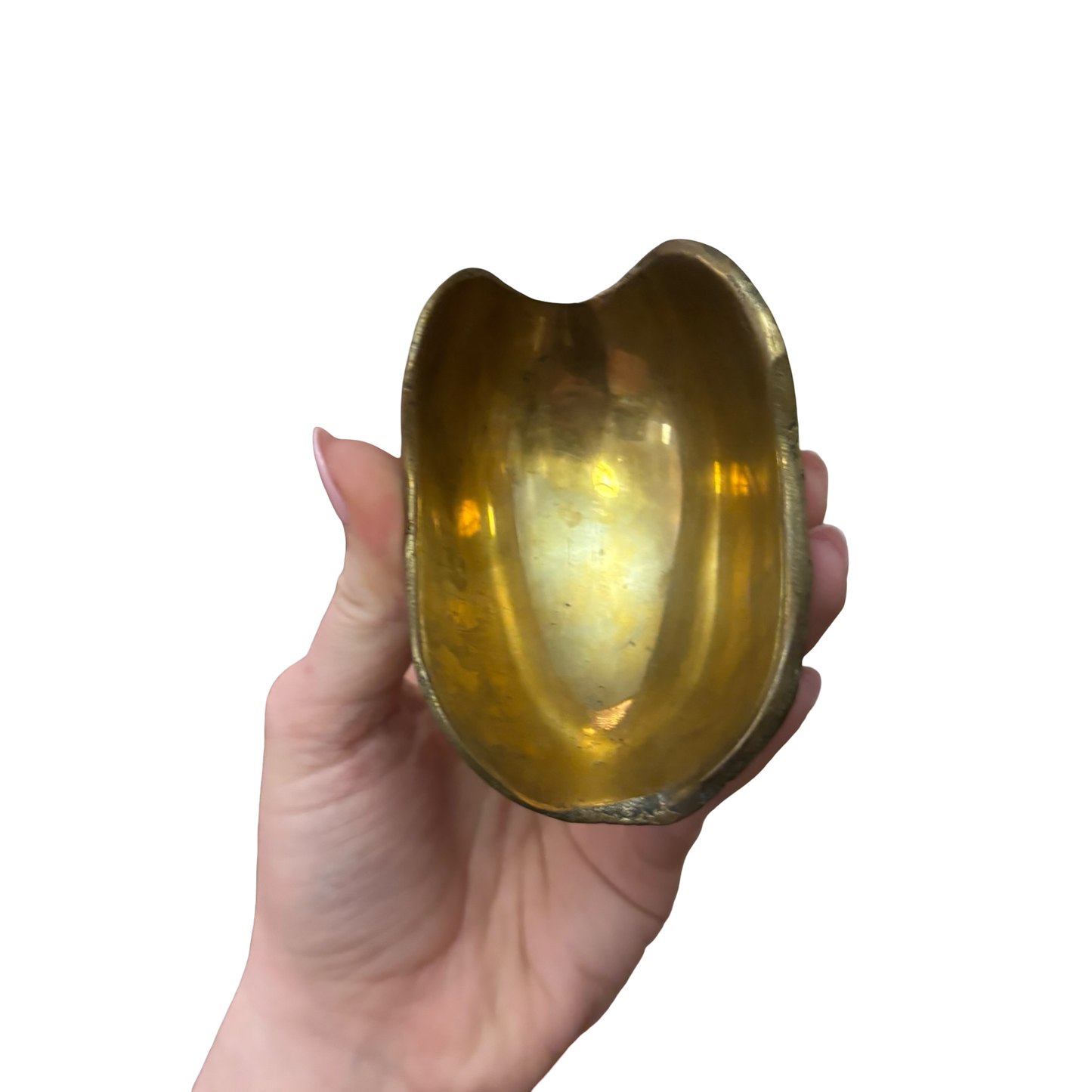 Brass Armadillo Ashtray