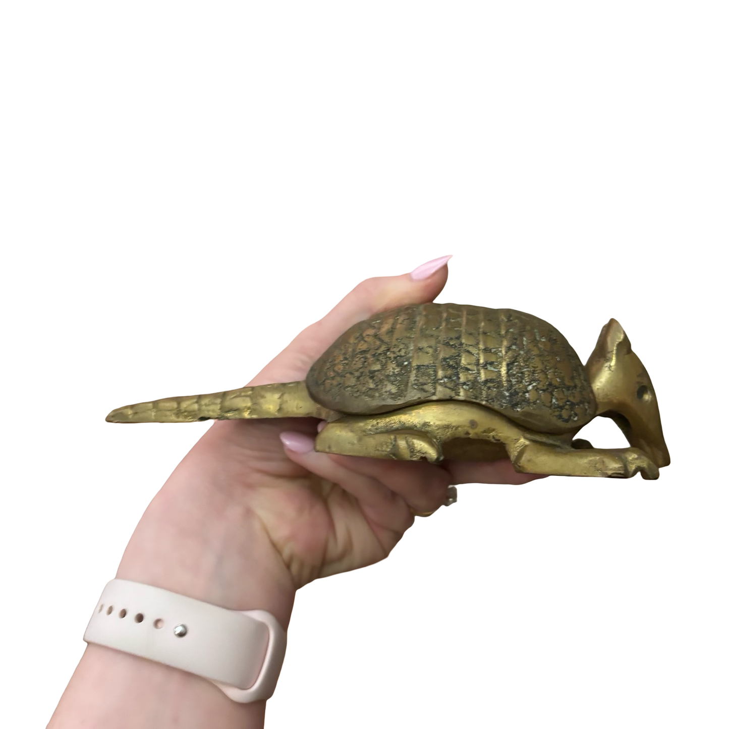 Brass Armadillo Ashtray