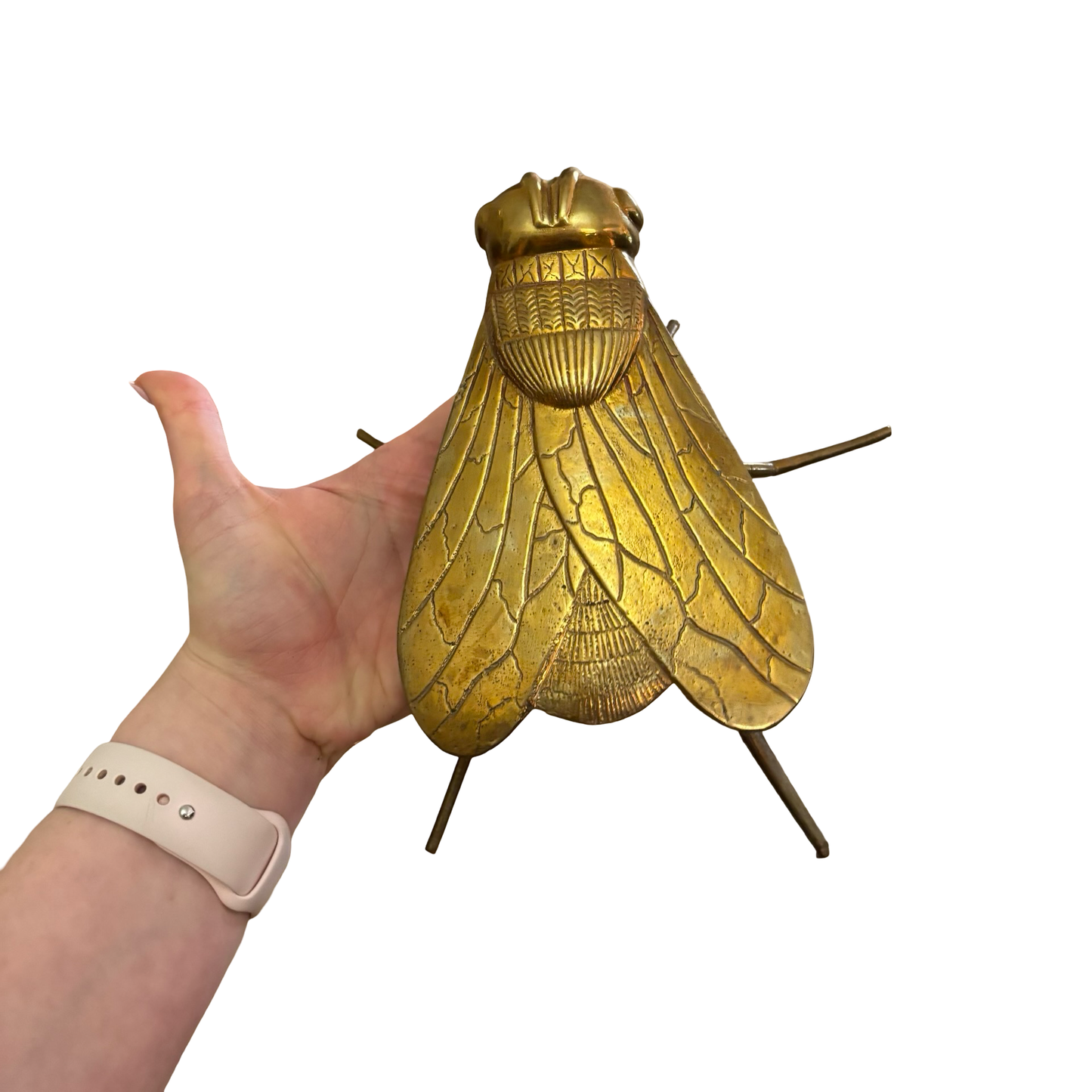 Large Brass Fly Ashtray
