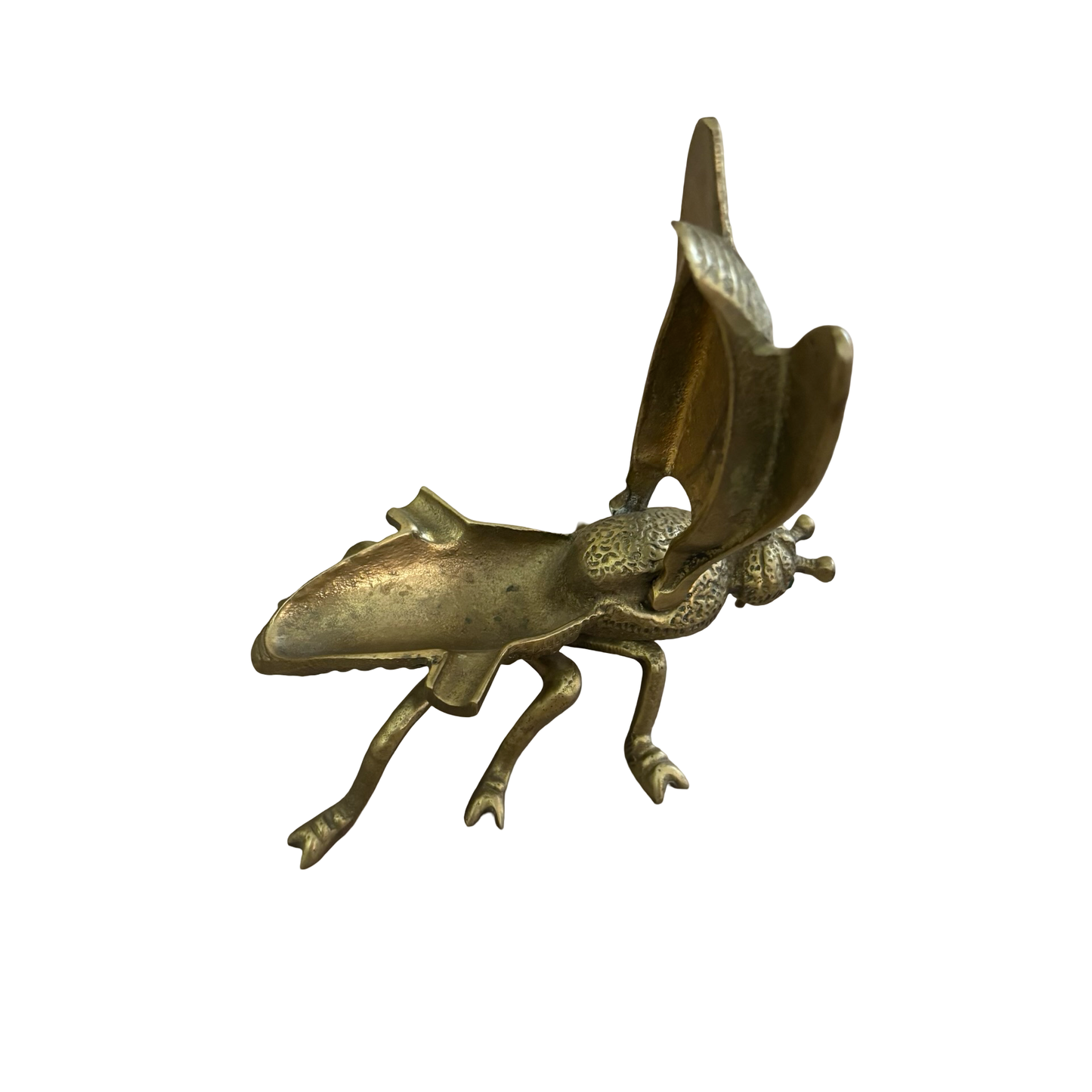 Brass Fly Ashtray