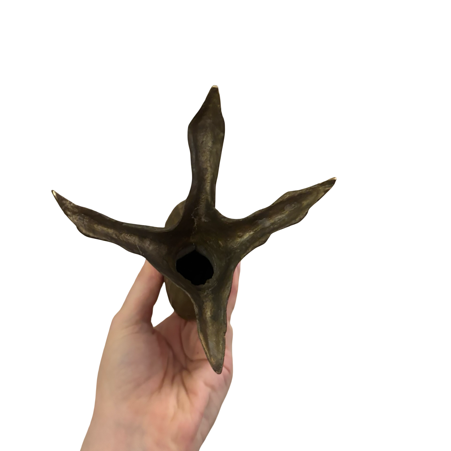Brass Talon Candlestick Pair