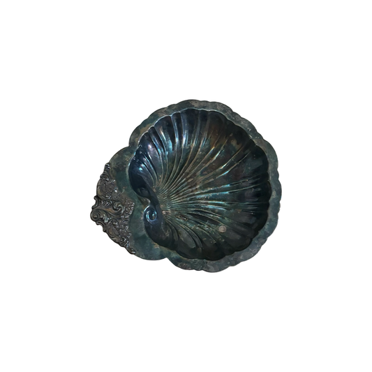 Silver Shell Dish