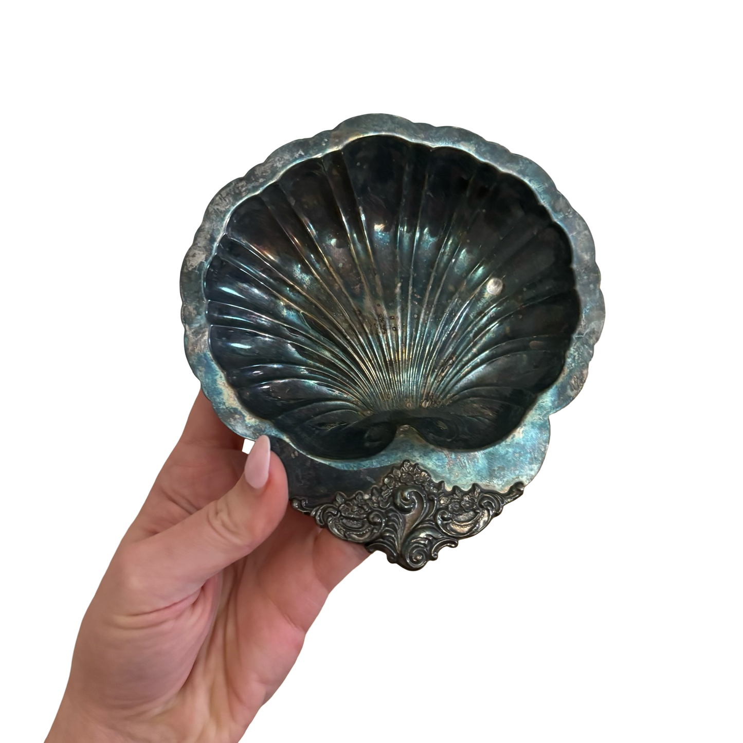 Silver Shell Dish