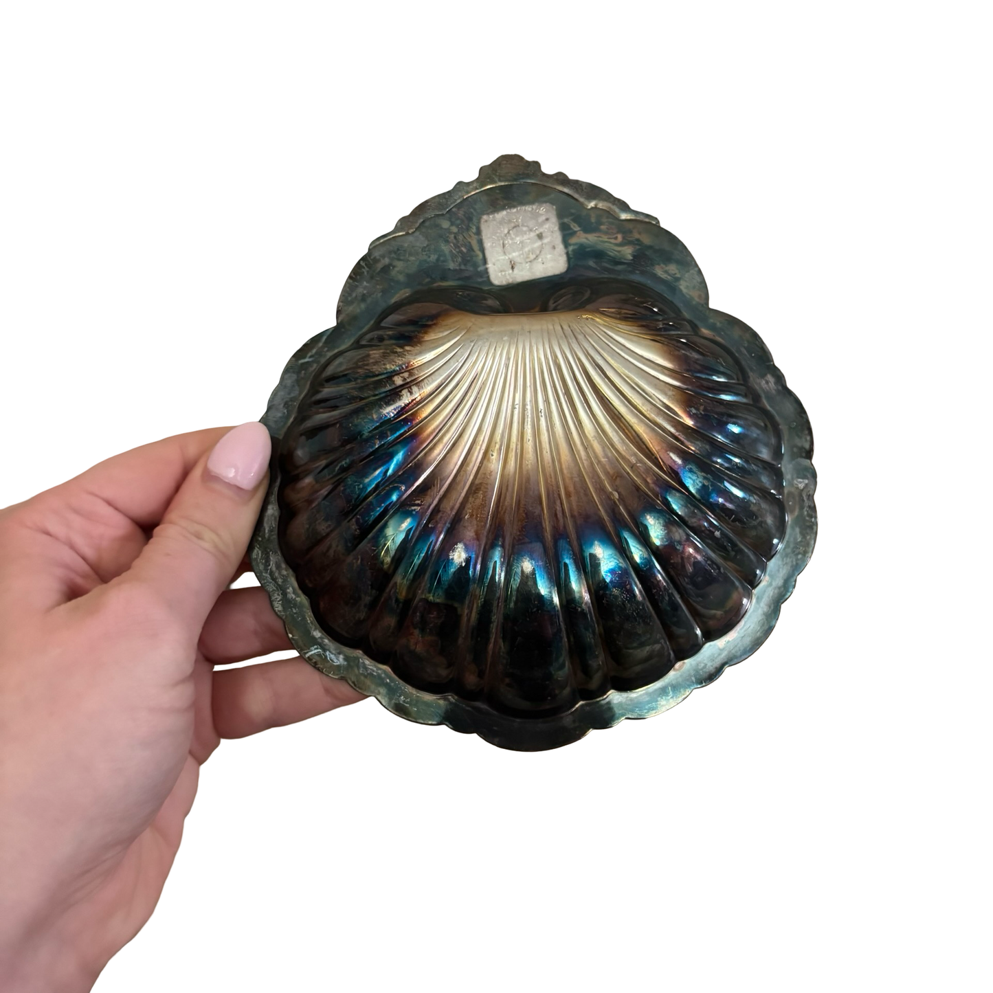 Silver Shell Dish